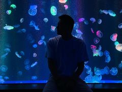 -海合安成都极地海洋公园