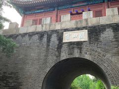 -云岗森林公园