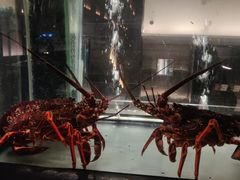 -官也街澳门火锅(新源里店)