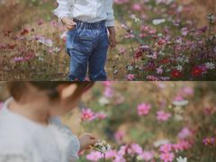 -南沙蒲洲花园
