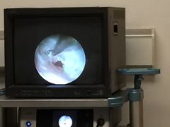 -佛山复星禅诚医院