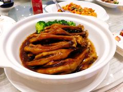 鹅掌-南京东郊国宾馆