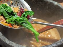 -蘑界·野生菌火锅(深业上城店)