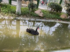 -常州淹城野生动物世界
