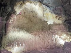 -湖南省地质博物馆