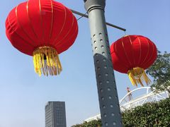-桐乡植物园