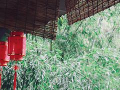 -西安祥峪森林公园