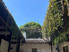 -绍兴鲁迅故里·沈园景区