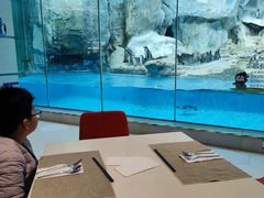 -帝企鹅自助餐厅•儿童岛•真企鹅(长隆企鹅酒店)