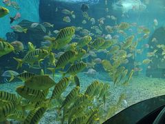 -泉城欧乐堡海洋极地世界