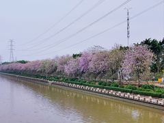 -南丰汇(新港东路店)