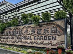 -东芭乐园