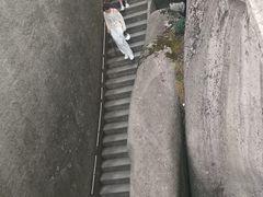 -天柱山风景区