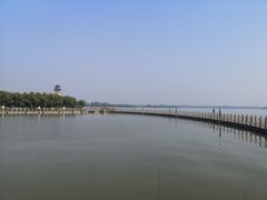 -溱湖国家湿地公园