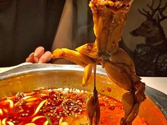 -宽口美蛙鱼头(大唐西市店)