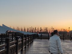 -盐城丹顶鹤湿地生态旅游区