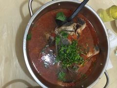 -风鑫铃罗非鱼(道沟店)
