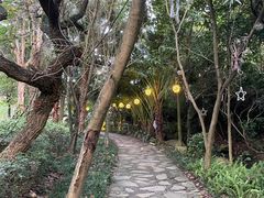 -李宁体育园