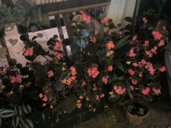 -街角 T·COFFEE 融合料理·BISTRO(车公庙店)