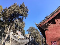 -洛阳白马寺