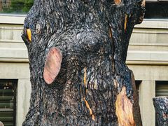 -南京钟山宾馆(江苏省会议中心)