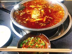 -费明中罗非鱼(大石坝店)
