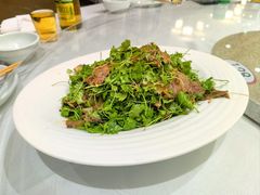 -王厚元饺子·辽菜(浑南店)