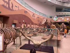 -陕西自然博物馆