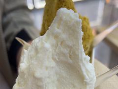 -野人先生现做冰淇淋(西安赛格店)