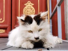 -大钟寺古钟博物馆