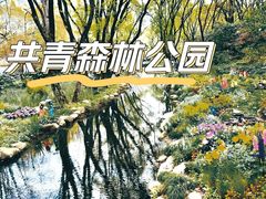 -上海共青森林公园