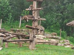 -北京野生动物园