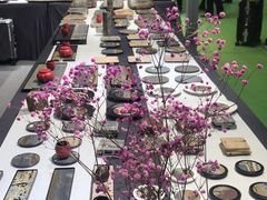 -郑州国际会展中心