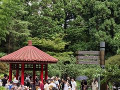 -庐山风景区花径公园