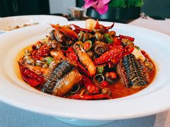 -子福慧(虹桥店)