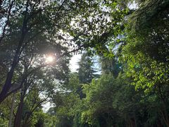 -陕西师范大学(雁塔校区)