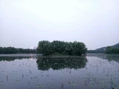 -潇湘国际影城(天马店)