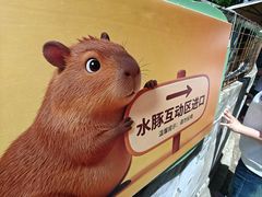 -合肥野生动物园