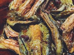 -金海椒罐罐鲢鱼(东方桂苑店)