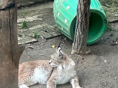 -青藏高原野生动物园