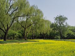 -北坞公园