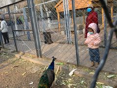 -长白岛森林公园