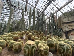 -南山植物园