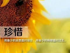 -幸福里四季火锅店