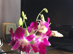 -爱维尔阳光蛋糕(和丰店)