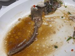 -眉州东坡·熊猫主题餐厅(枫蓝店)