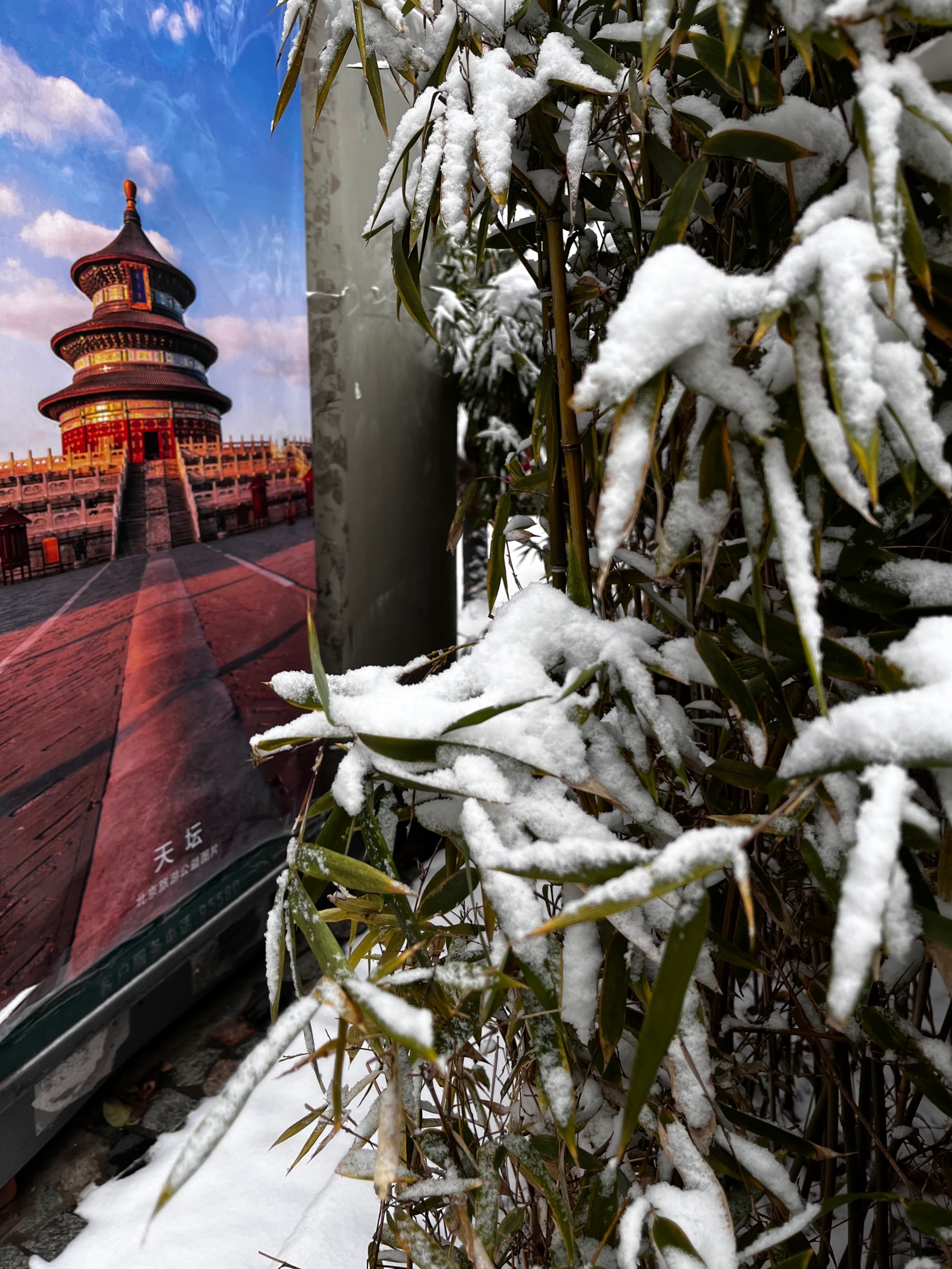 北京2021年的第一场雪图片