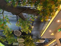 -阳光院坝小龙虾(红牌楼店)