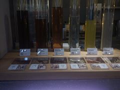 -1828王老吉·草本新茶(珠江新城地铁站店)