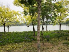 -东郊湿地公园